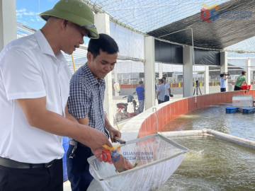 Bắt nhịp với Chuyển đổi số