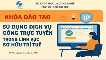 Cục Sở hữu trí tuệ tập huấn nâng cao hiệu quả sử dụng dịch vụ công trực tuyến